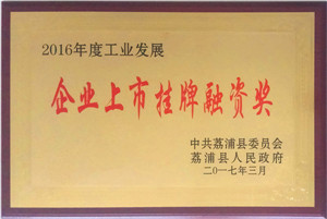 企業上市掛牌融資獎